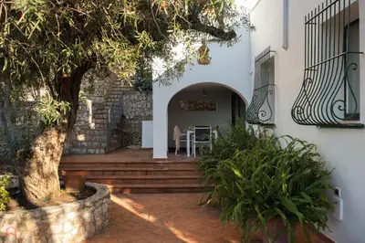 a courtyard with a tree and stairs in a building at Stunning seaview villa in Altavilla Milicia
