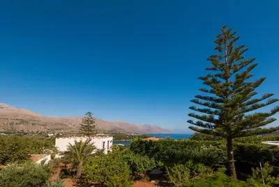 a pine tree on a hill next to the ocean at Villa Saracena in Castellammare del Golfo