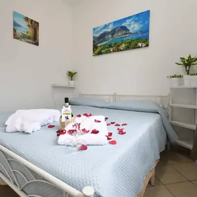 Phoenix Apartment
