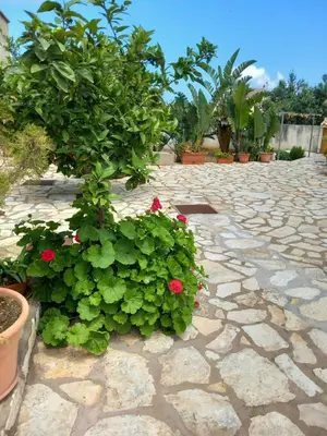 a potted plant with red flowers on a stone patio at La Chiocciola 2 Bed&Breakfast in Castelluzzo