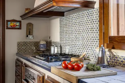 a kitchen with a stove with tomatoes on a cutting board at Cleo - Villa Siciliana in Partinico