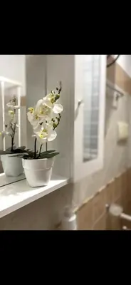 two white flowers sitting on a shelf in a bathroom at Cusumano house in Trappeto