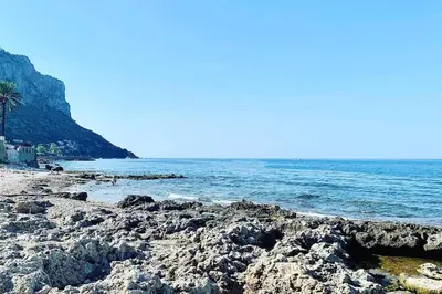 a beach with rocks and the ocean with a palm tree at Casa Graziella Vacanze in Palermo