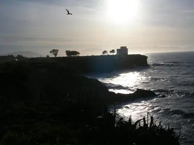 a bird flying over the ocean with a building on a cliff at Terrasini Siracasa in Terrasini