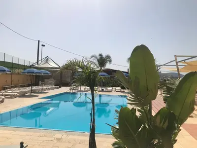 a large swimming pool with a palm tree next to it at Baglio Pocoroba in Calatafimi