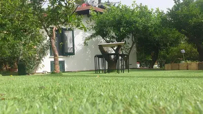 a pair of chairs sitting in the grass in front of a house at Duplex House in Palermo