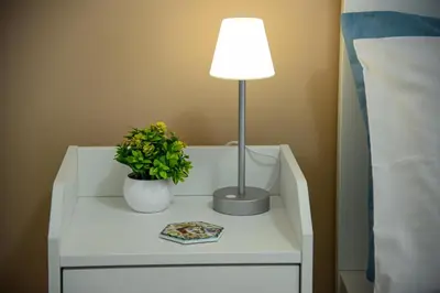 a table with a lamp and a plant on it at Kalsa Casa dei Mori in Palermo