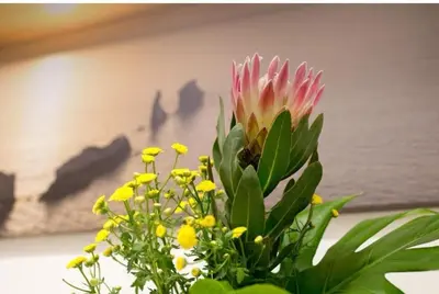 a pink flower with green leaves and yellow flowers at Holiday House Monalisa in Terrasini