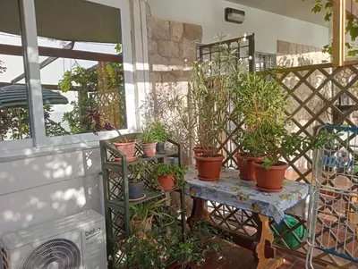 a group of potted plants sitting on a patio at Nido del falco in Mondello