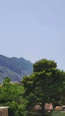 a tree in the foreground with mountains in the background at Àrima Mondello Apartment in Mondello