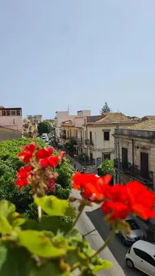 a group of red flowers on a city street at Àrima Mondello Apartment in Mondello