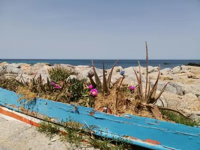 a beach with rocks and the ocean in the background at Ovidio home in Palermo