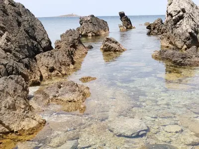 a beach with a tree and a body of water at Ovidio home in Palermo