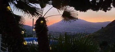 a palm tree with a sunset in the background at Villa Ballerina Bianca in Scopello