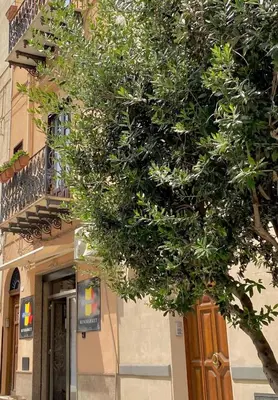 a large tree in front of a building at Casa 900 in Castellammare del Golfo