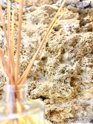 a close up of some grass in a vase in the dirt at Centro Storico Palermo Stationsuite N5 WiFi Tutto a Piedi! in Palermo
