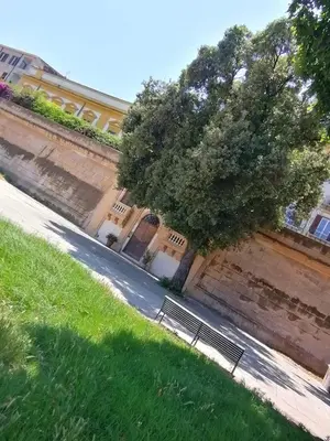a tree on the side of a building with a sidewalk at Historic Centre - Apartment at Foro Borbonico in Palermo