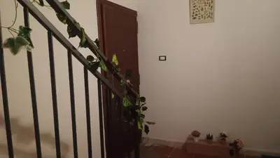 a stairway with a door and a plant at Casa Selinunte in Palermo