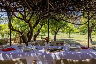 a table with plates and wine glasses under a tree at Villa surrounded by Nature overlooking the Sea - Cefalù in Lascari