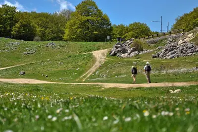 two people walking down a dirt road in a field at Villa Letizia in Campofelice di Roccella