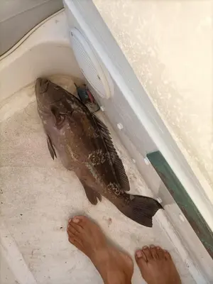 a fish in a tub next to a persons feet at Levante in Terrasini