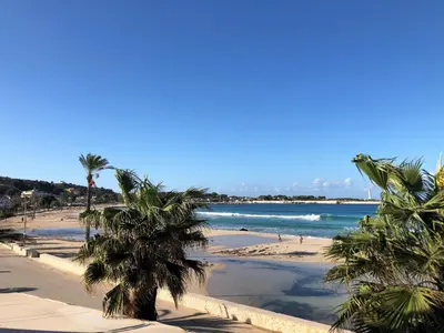 a sandy beach with palm trees and the ocean at Holiday Home Acquamarina Gaia by Interhome in San Vito lo Capo