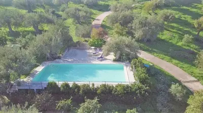 an overhead view of a swimming pool in a garden at Casa Margaret in Collesano