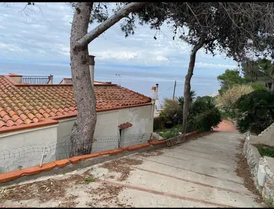 a house with a tree next to a sidewalk at Mare e cielo in Porticello