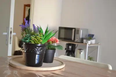 two potted plants sitting on top of a table at 4 Country Side - City Center in Palermo