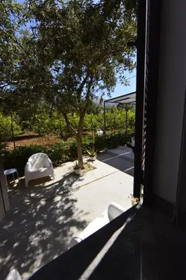 a window of a house with a tree and a white chair at Miss Sicily B&B in Terrasini