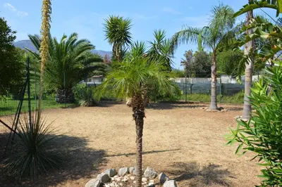 a palm tree in the middle of a park at La casetta nel verde in Palermo