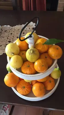 two baskets of oranges and lemons on a table at Sicilian Apartment in Termini Imerese