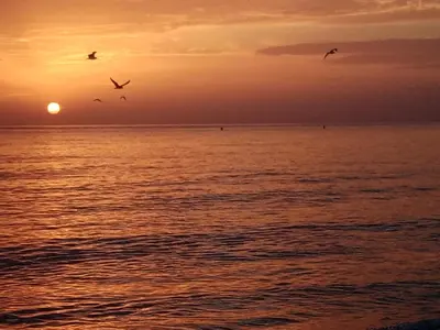 two birds flying over the ocean at sunset at Rocca Mondello Rooms, Beach and Sea in Palermo