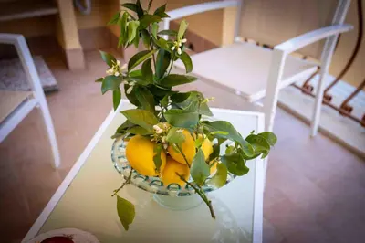 a vase filled with lemons sitting on a table at Sunshine Apartments in Trappeto
