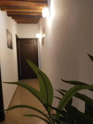 a plant in the corner of a hallway with a door at Casetta Matotta, casa vacanze a Mondello - Palermo in Mondello