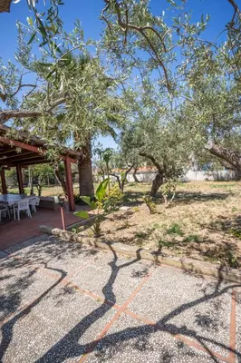 a picnic area with a picnic table and trees at Casa Margherita Cefalù - Villa con accesso privato al mare in Cefalù