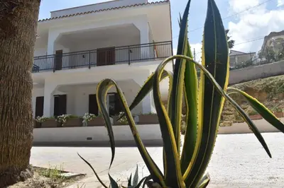a plant in front of a white house at b&b Lastracu in Castellammare del Golfo