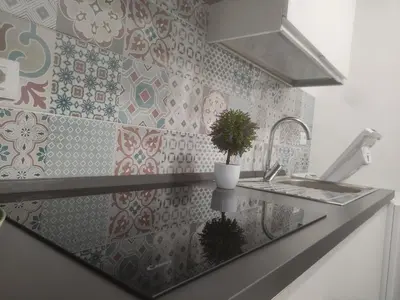 a kitchen counter with a potted plant on it at La casa sotto il castello in Caccamo