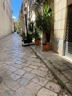 a street with potted plants on the side of a building at La Cupola in Palermo