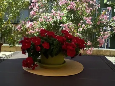 a vase filled with red flowers on a table at Il Terrazzo Di Oleandri in Bagheria