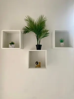 a potted plant on a wall with three shelves at Urban poet retreat - casa di vincenzo e andrea 2 in Palermo
