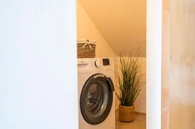 a washing machine in a laundry room with a plant at Studio Anatólio in Castellammare del Golfo