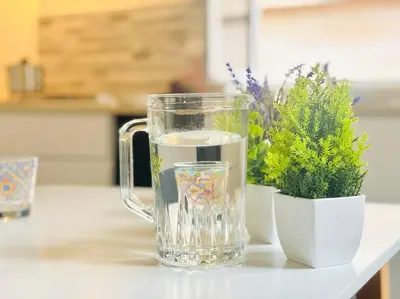 a glass pitcher sitting on a counter next to a plant at Calamari37 in Palermo
