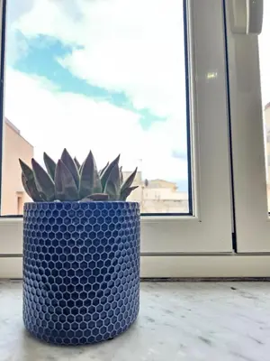 a blue pot with a plant sitting in front of a window at Terrazza Ballarò in Palermo