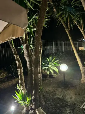 a street light next to some trees at night at L'abete in Villabate