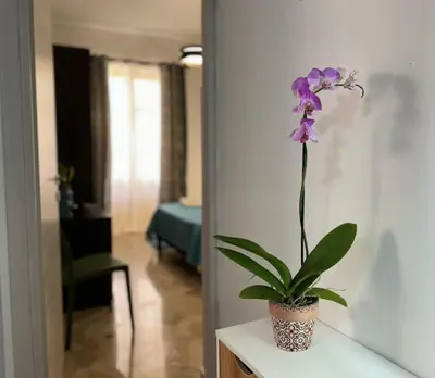 a flower in a vase on a table in a room at La Dimora di Anna e Ciccio in Casteldaccia