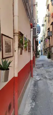 an alley with potted plants on the side of a building at MaMa5 in Palermo