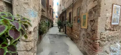 an alley between two stone buildings with plants at MaMa5 in Palermo