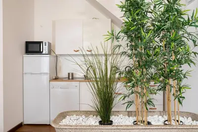 a kitchen with two potted plants and a refrigerator at Cavour Elegant apartment At Massimo Theater in Palermo