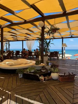 a patio with a table with potted plants on the beach at Le Casette di campagna #2 in Campofelice di Roccella
